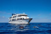 Galapagos Kreuzfahrt Yacht San José mit Delfinen
