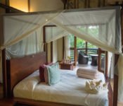 Selva Lodge Ecuador - Superior Suite