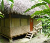 Liana Lodge - Cabaña