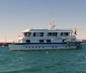 Galapagos Kreuzfahrt Yacht Angelito