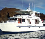 Galapagos Kreuzfahrt Yacht Floreana