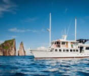 Galapagos Kreuzfahrt Yacht Golondrina