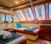 Galapagos Seaman Journey - Zweibettkabine