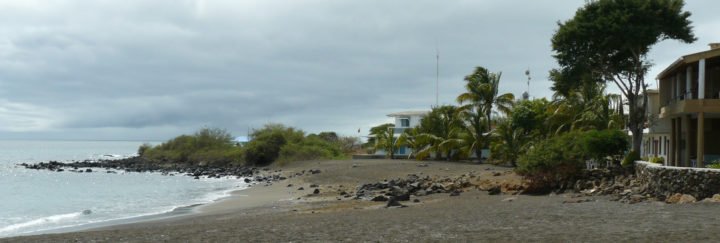Galapagos Affäre Floreana - Geschichte der Familie Wittmer