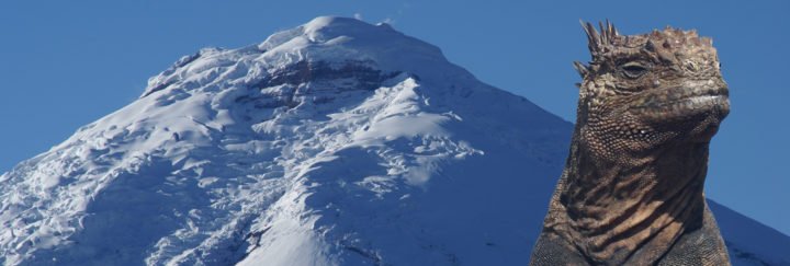 Individualreise Ecuador