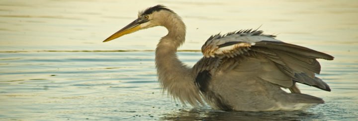 Galapagos Inseln Reisen