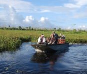 Cattleya Journey - Ausflug im Kanu