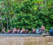 Cattleya Journey - Aktivitäten Amazonas
