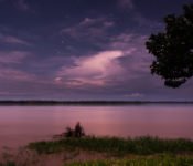 Cattleya Journey - Amazonas bei Nacht