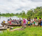 Cattleya Journey - Bewohner Amazonas