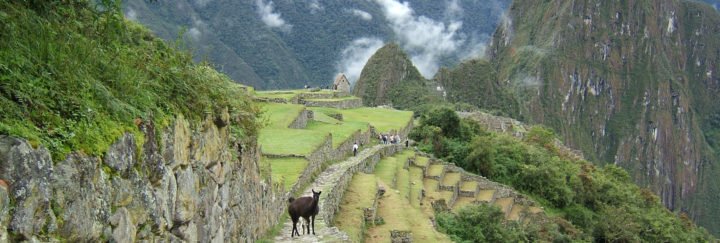 Machu Picchu
