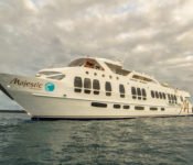 Galapagos Kreuzfahrt Yacht Majestic