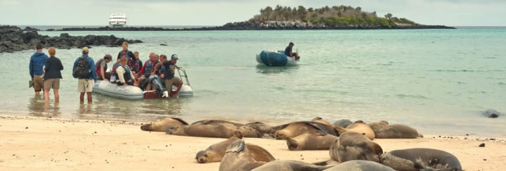 Galapagos Kreuzfahrten super günstig
