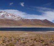 Altiplano Lagunen - San Pedro de Atacama