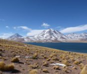 Altiplano Lagunen - San Pedro de Atacama