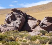 Altiplano - San Pedro de Atacama