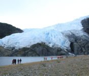 Australis Kreuzfahrten - Besuch Aguila Gletscher