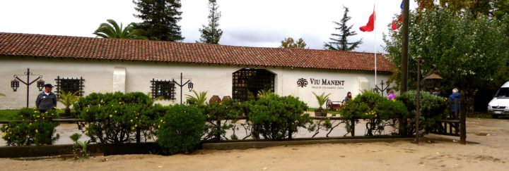Weinbau Chile - Viu Manent