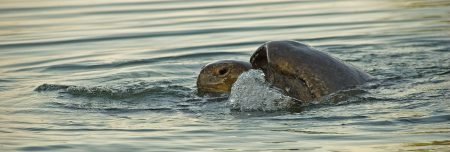 exzellente Reiseplanung Ecuador