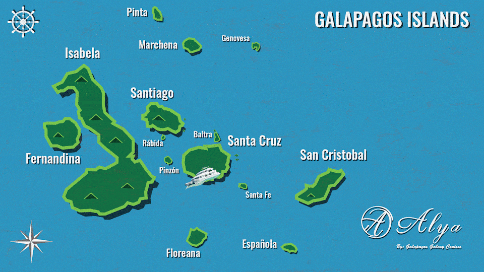 itinerary-B-alya-galapagos-catamaran