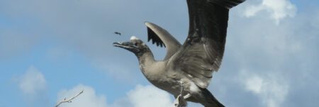 Galapagos Einreise Gepäck